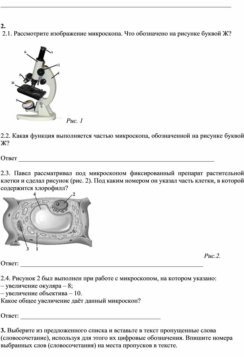 Диагностическая работа по биологии в формате ВПР. 6 класс.1-2 вариант.