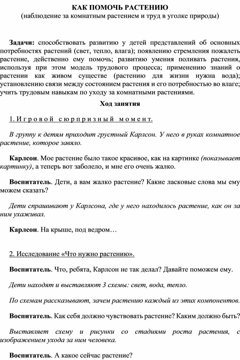 Разработать план конспект экологического занятия