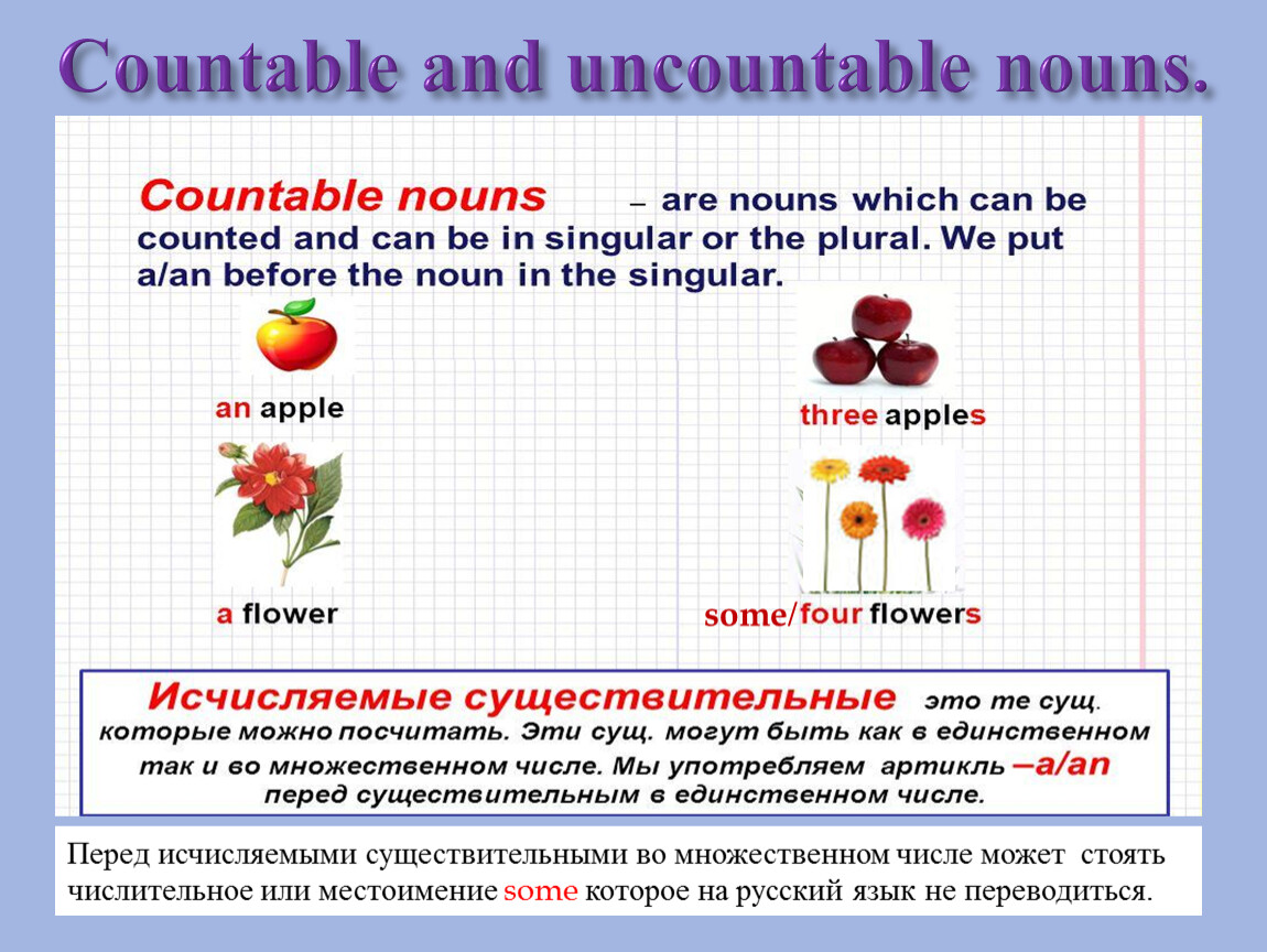 Countable and uncountable nouns 5 класс презентация