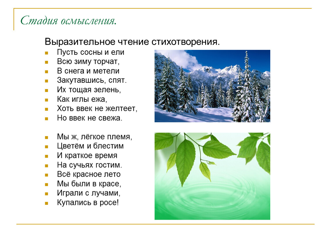 Стихотворение листья тютчев анализ. Стих пусть сосны и ели. Пусть сосны и ели всю зиму торчат в снега и метели закутавшись. Стихи Тютчева пусть сосны и ели. Листья Тютчев стих.