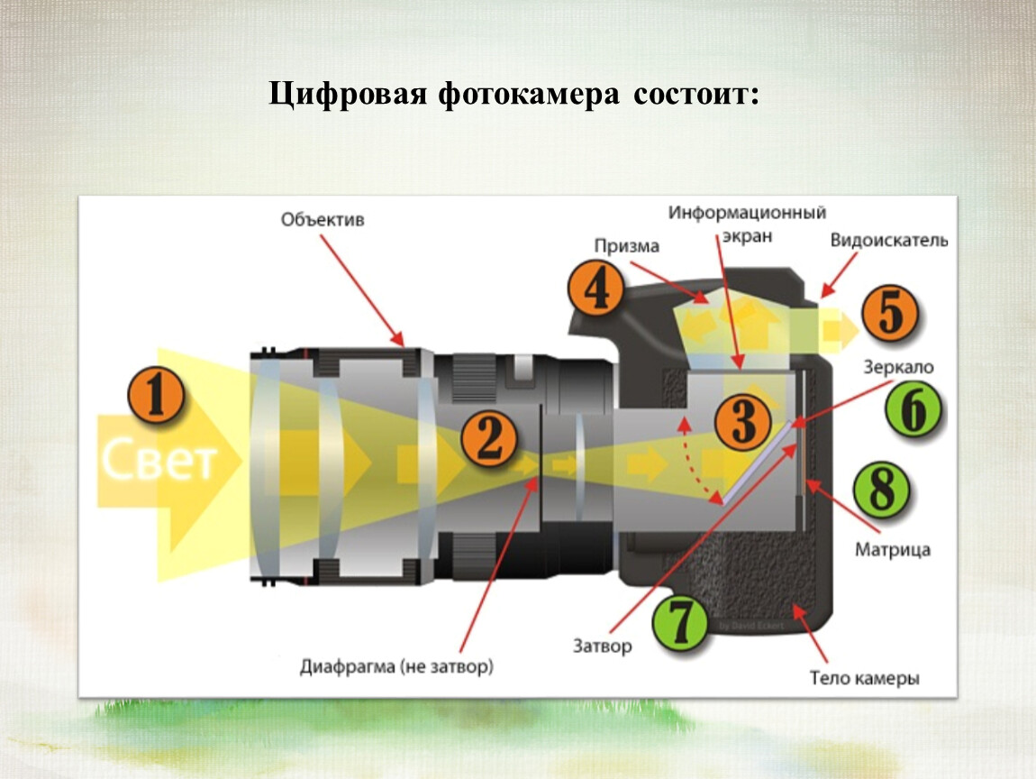 Открой устройство камера. Принцип работы фотоаппарата схема. Принцип работы цифровой камеры схема. Принцип работы зеркальной камеры. Схема зеркальной фотокамеры.