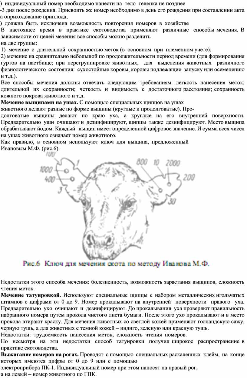 Контрольная работа по теме Индексы телосложения сельскохозяйственных животных