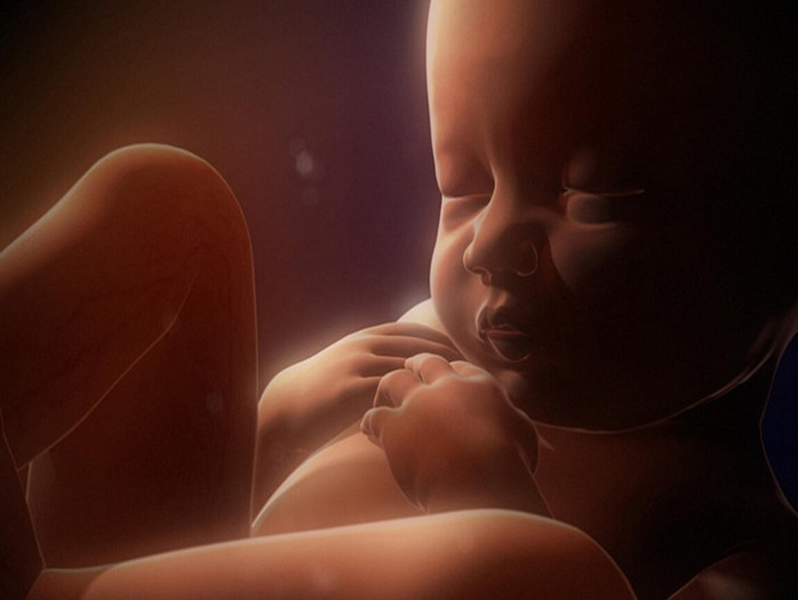 Ребенок плачет в утробе. Малыш в животике. Младенец в утробе.