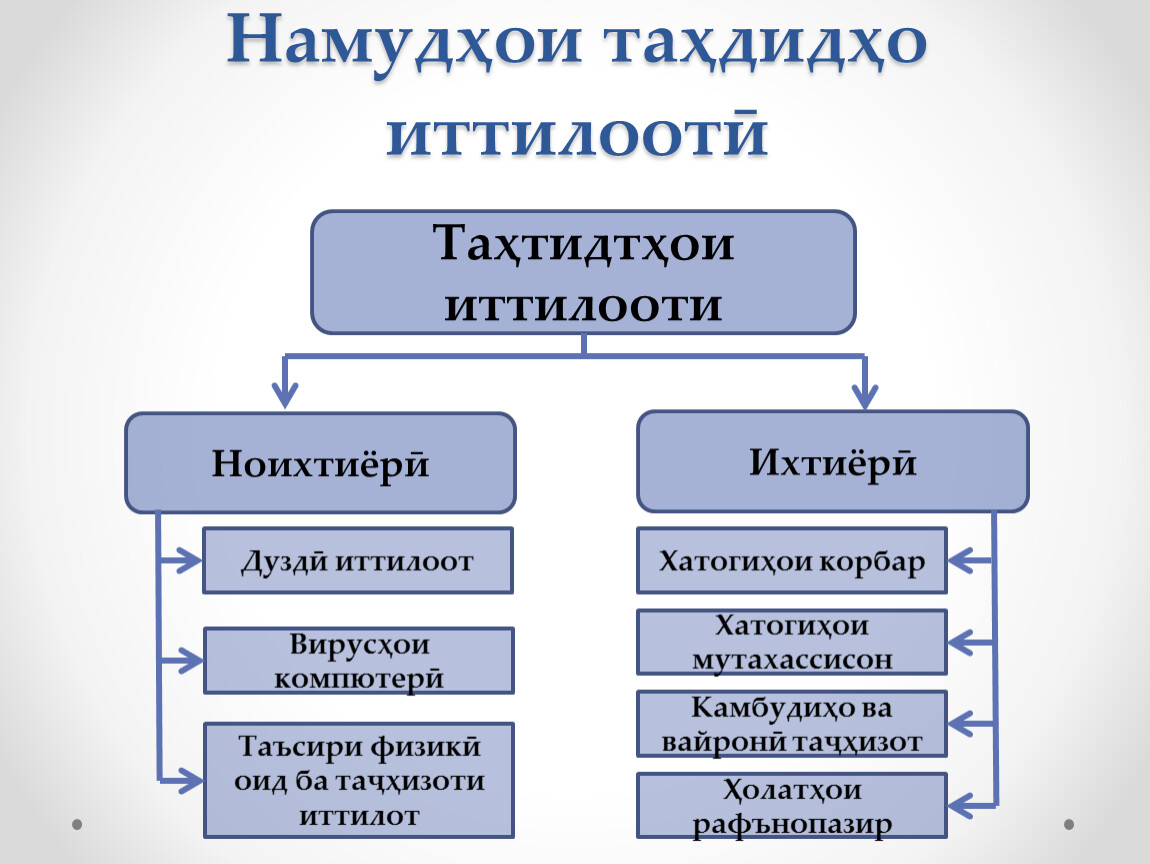 Два внутренние и по три