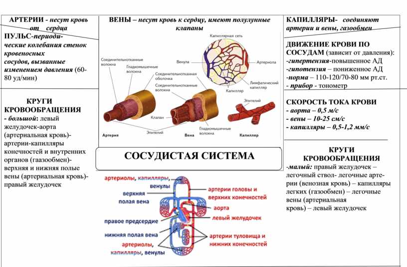 Всд по гипертоническому типу карта вызова скорой медицинской помощи шпаргалка