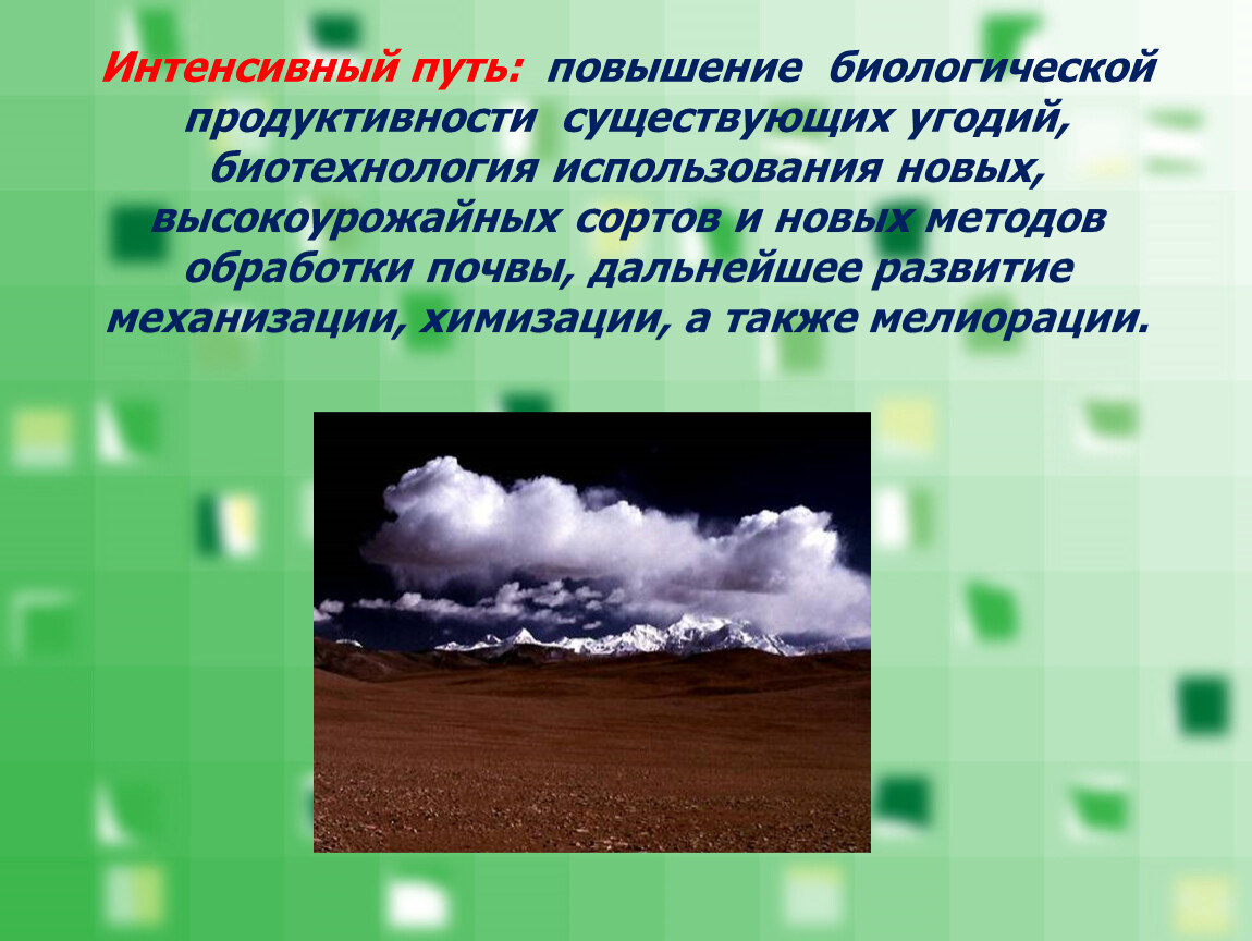 Интенсивный путь. Биологическая продуктивность почвы. Интенсивный путь фото. Интенсивный путь плодородные проблемы.