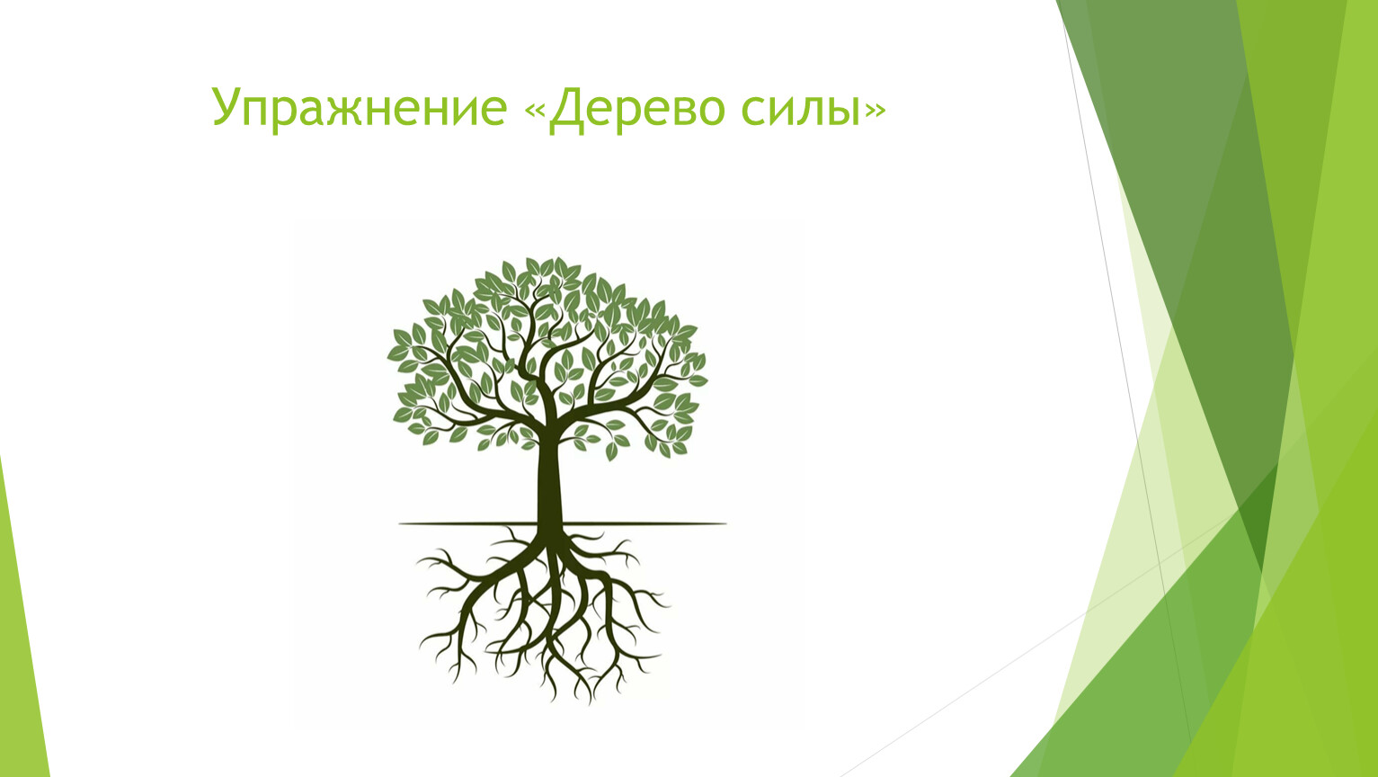 Упражнение «Дерево силы»