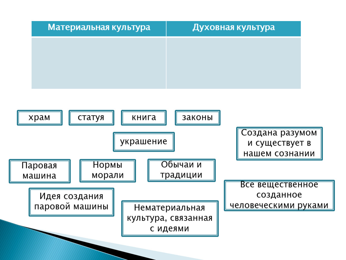 Обществознание. Формы культуры