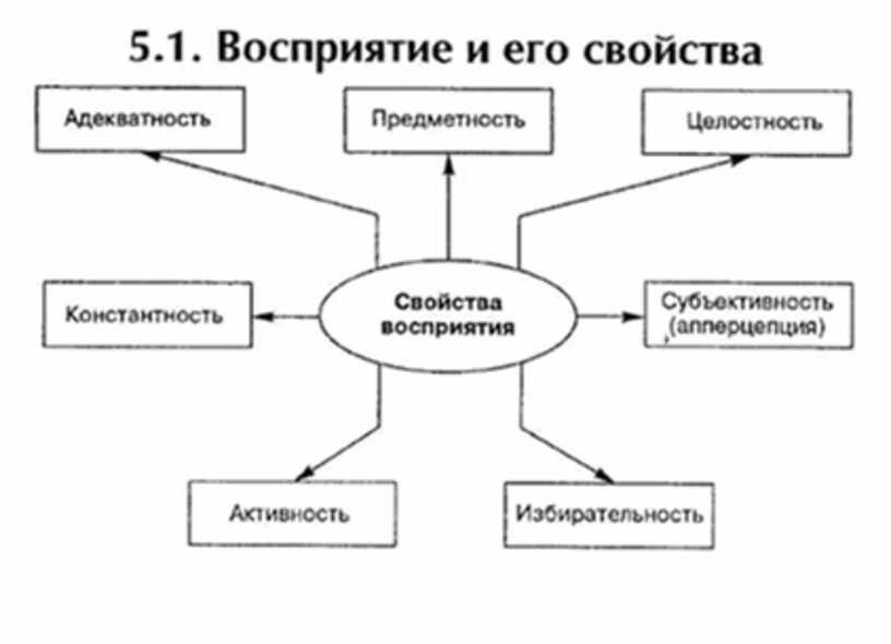 Психофизиология восприятия. Психофизиология в схемах. Психофизиология движения схема. Связь психофизиологии с другими науками. Психофизиология движения классификация движений.