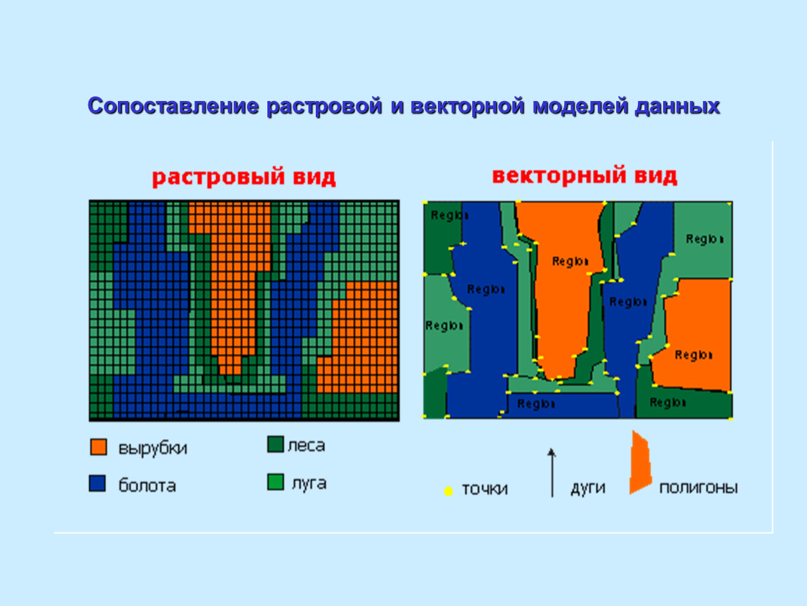 Векторная модель данных. Растровая модель данных в ГИС. Векторная модель данных в ГИС. Векторная модель пространственных данных в ГИС. Растровая модель пространственных данных.