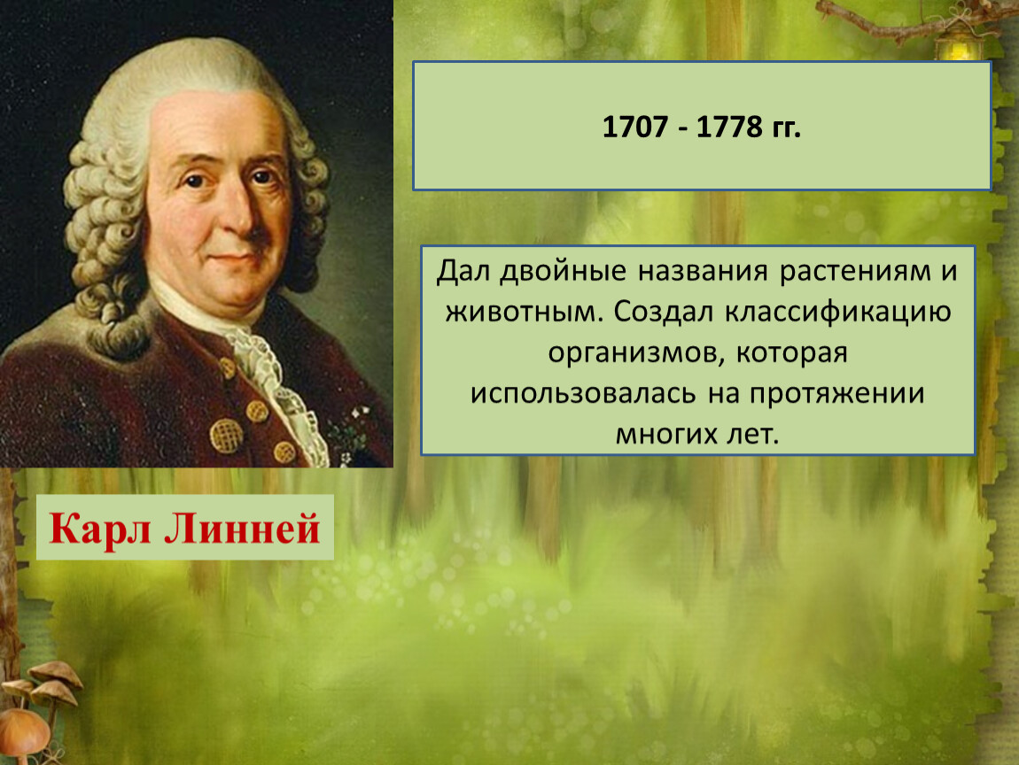 5 класс великие. Карл Линней (1707-1778). Великие естествоиспытатели Карл Линней. Карл Линней - Великий ученый. Великие естествоиспытатели 5 класс биология Карл Линней.