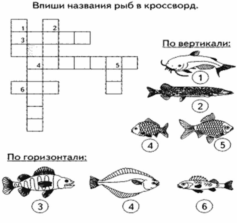 Логопедическая презентация рыбы