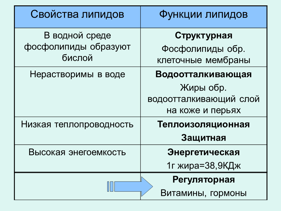 Какими свойствами обладают липиды. Липиды строение и функции кратко таблица. Липиды строение и функции кратко. Липиды строение свойства и функции кратко. Строение и свойства липидов.