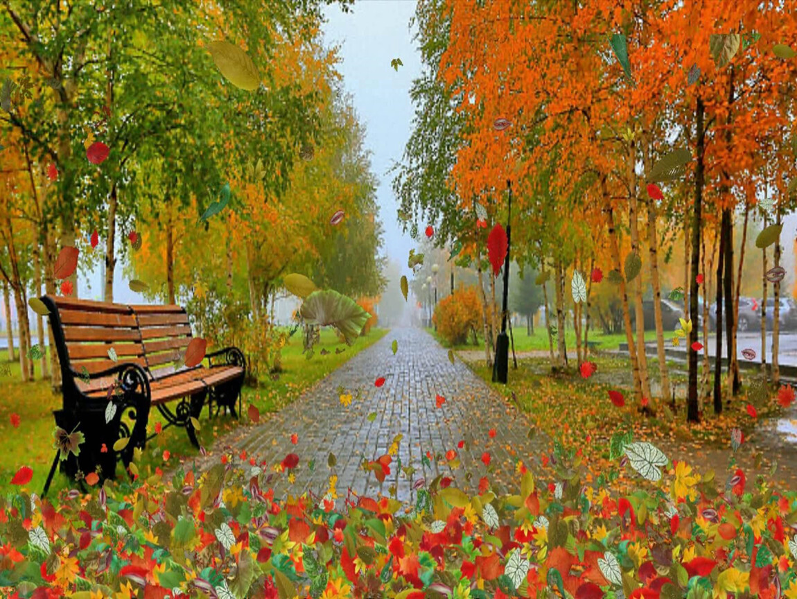 Осень скверы украшает разноцветною