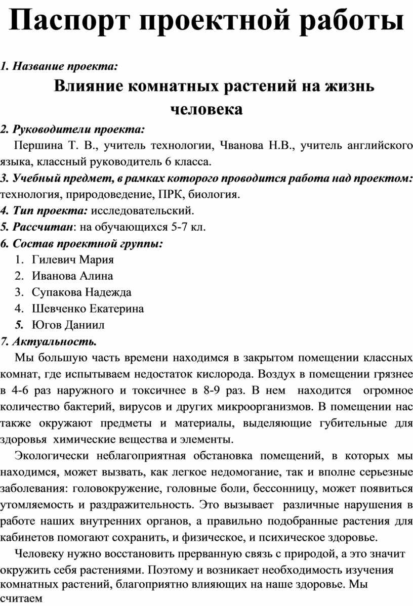 Паспорт проектной работы образец