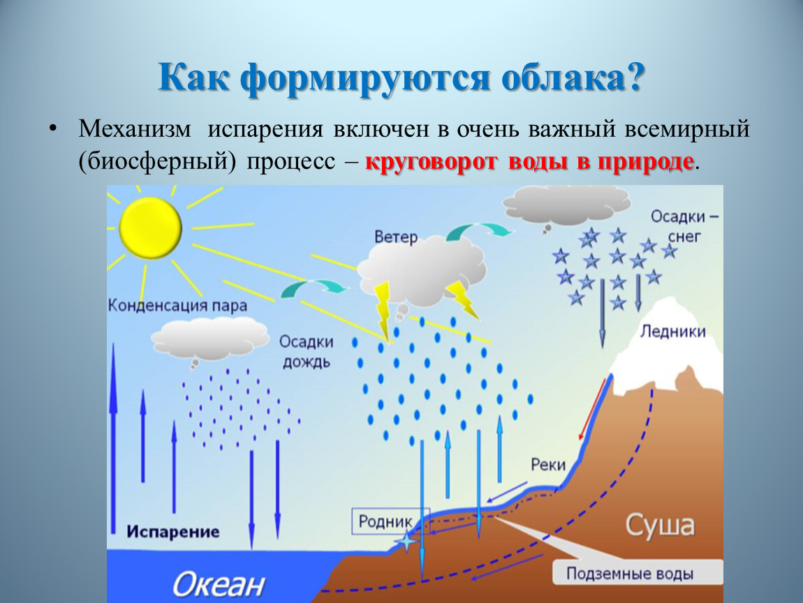 Какие процессы относятся к круговороту воды. Как образуются облака. Круговорот воды. Процесс круговорота воды. Процесс круговорота воды в природе.