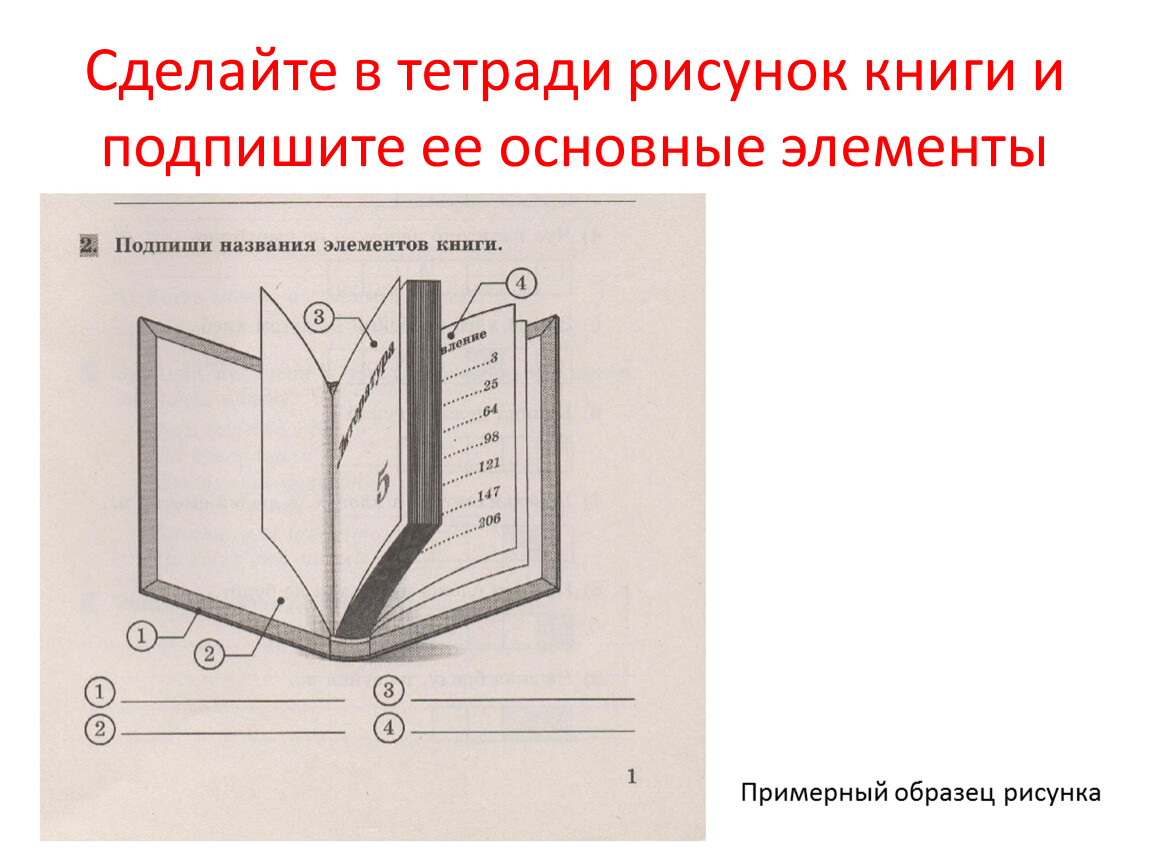 Подпиши название элемента. Части обложки книги как называются. Из чего состоит структура книги. Как правильно называются части книги. Как называются элементы книги.