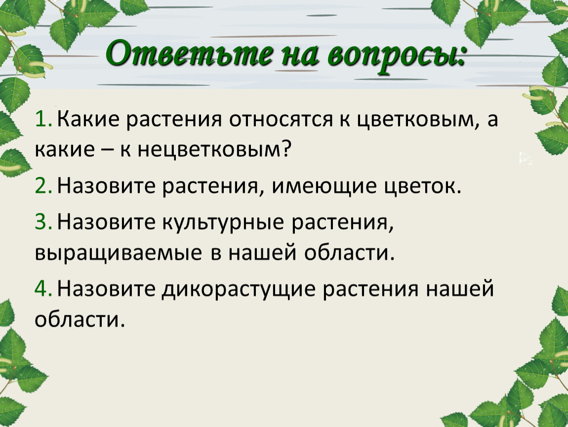 К цветковым растениям относят. Какие растения не относятся к Цветковым. Какие растения относятся к Цветковым. Цветковые и нецветковые растения. Особенностью растений является.