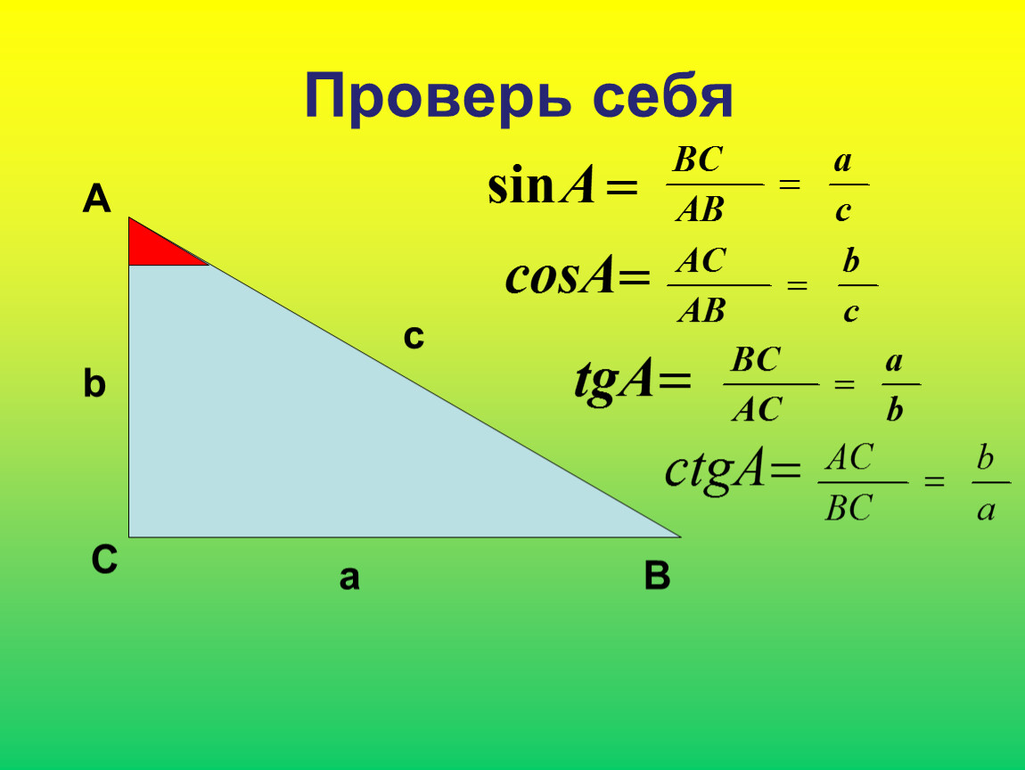 Решение прямоугольных треугольников косинус синус тангенс. Отношение сторон треугольника. Синус косинус и тангенс острого угла прямоугольного треугольника. Отношение сторон в прямоугольном треугольнике. Отношение синусов и косинусов в прямоугольном треугольнике.