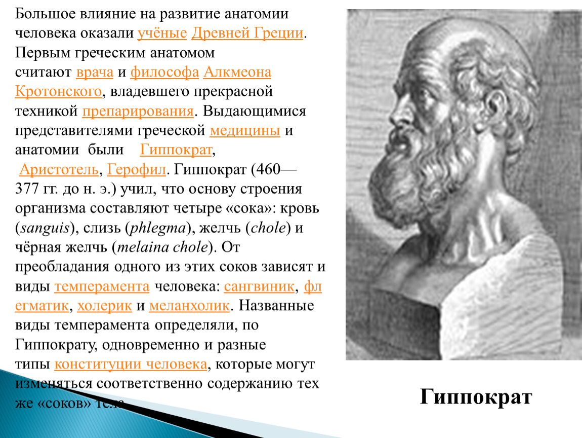 Вклад ученых в развитии анатомии. Ученые анатомии. Развитие анатомии. История развития анатомии и физиологии. Возникновения анатомии как науки.