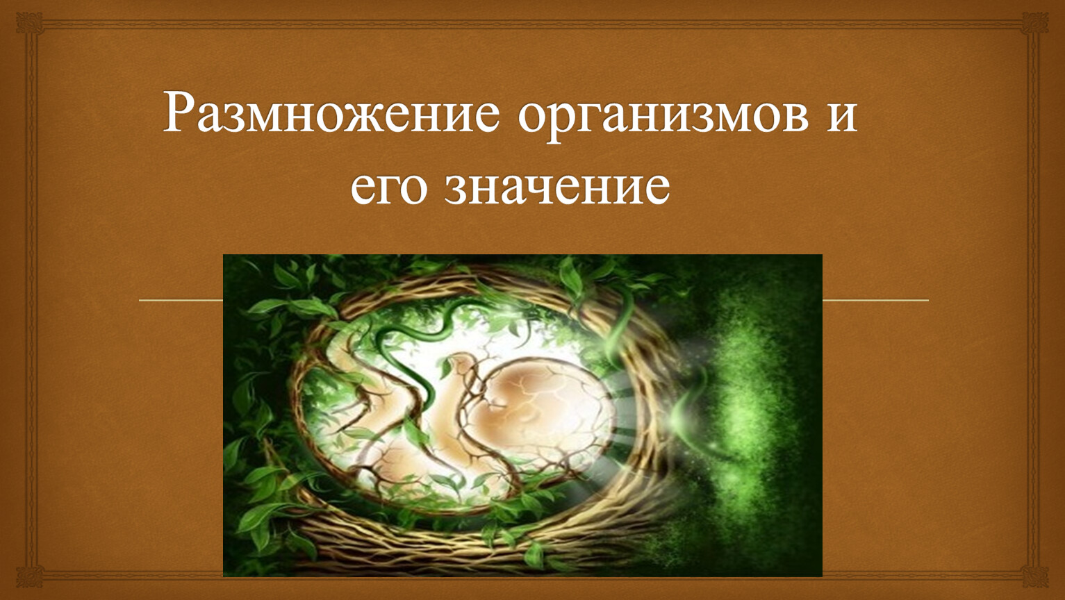 Размножение организмов вариант 1. Размножение организмов и его значение 6 класс.