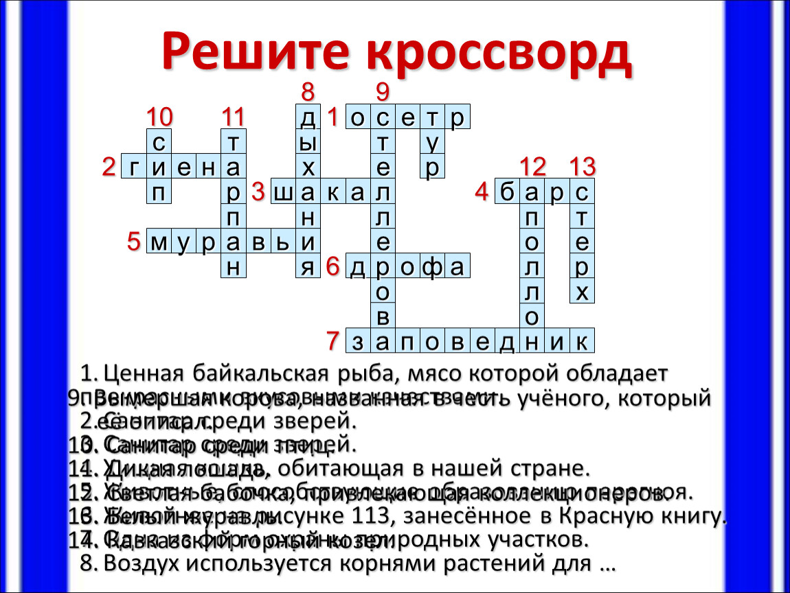 Презентация к уроку биологии 