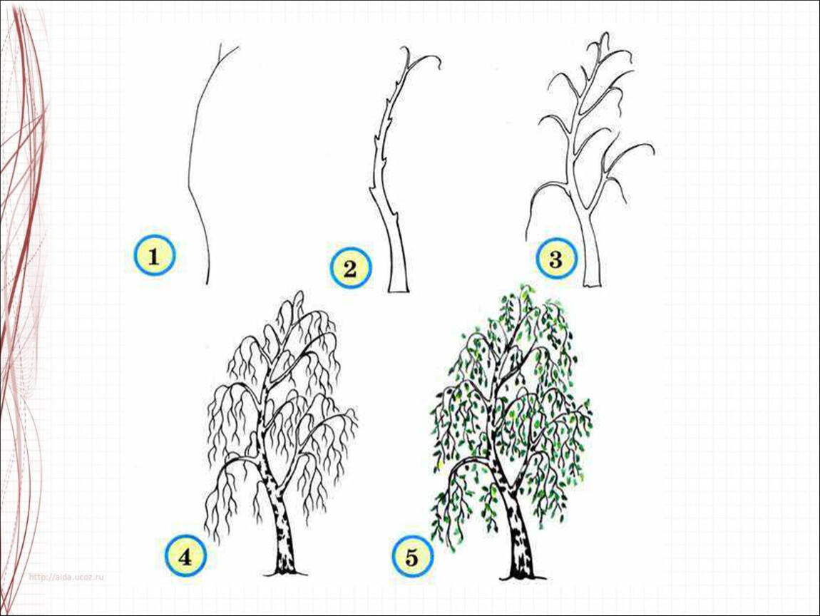Рисуем дерево 2 класс изо