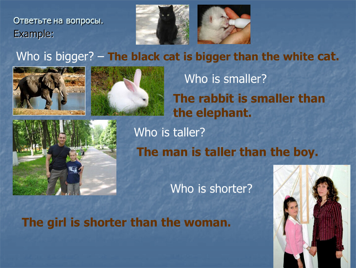 Whom examples. Bigger than smaller than. Smaller than Taller than. Examples for who. Как будет по английски smaller than Taller than bigger than shorter than.