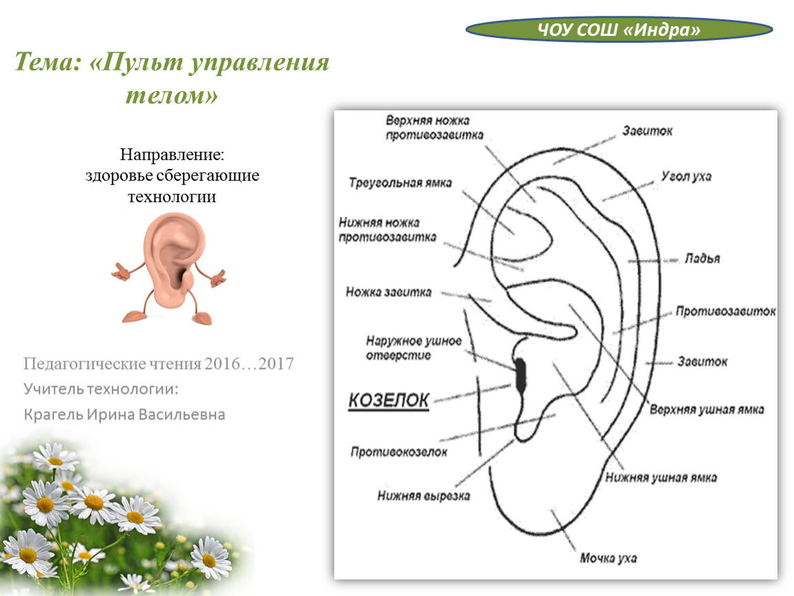 Презентация направления здоровье сберегающих технологий, тема 