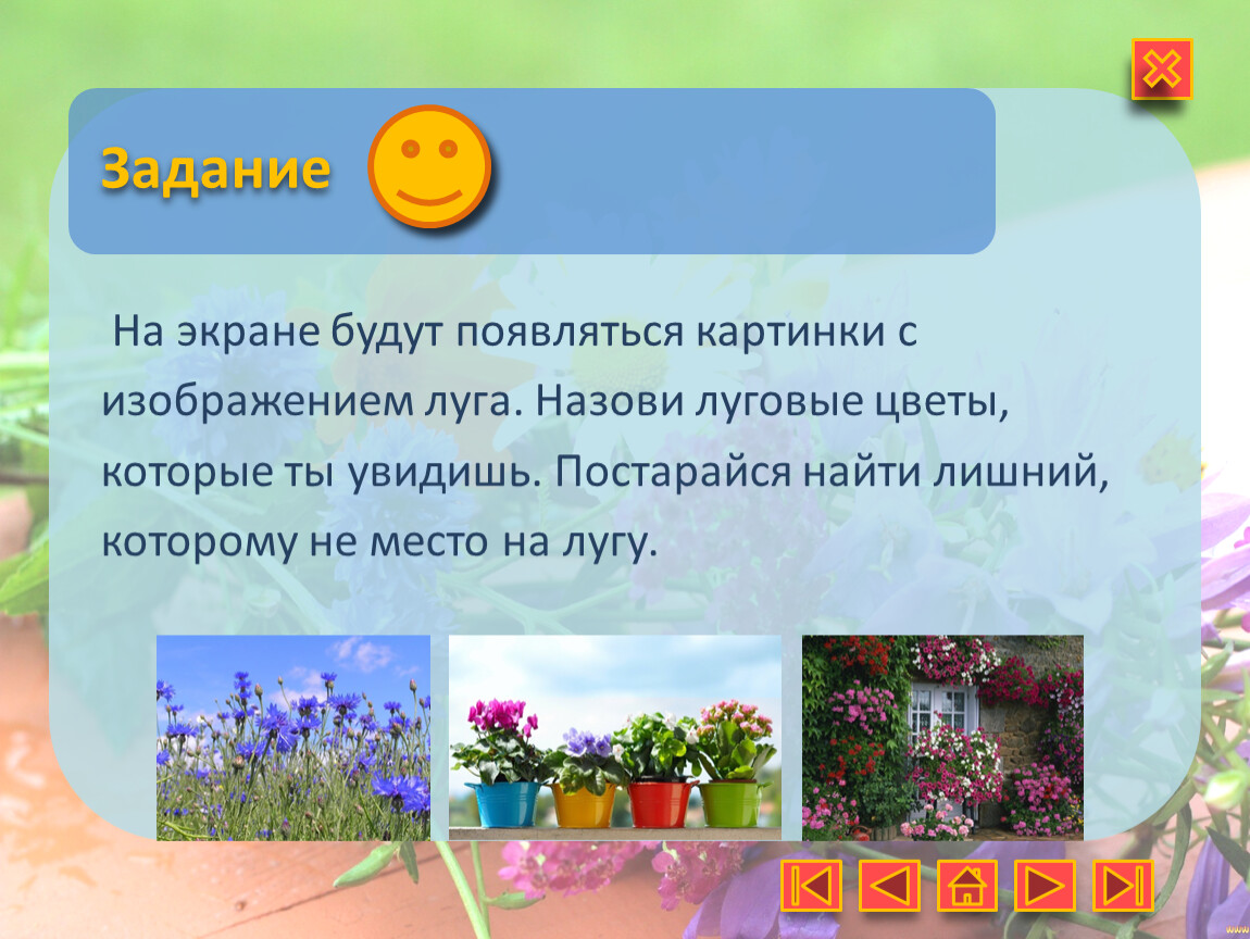 Игровая презентация 