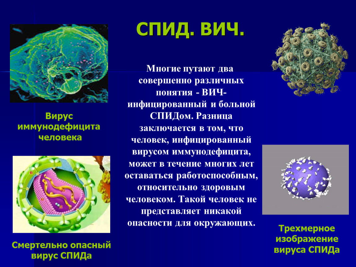 Биология 8 вирусы. Вирус иммунодефицита человека. Презентация на тему вирусы. Вирус ВИЧ.