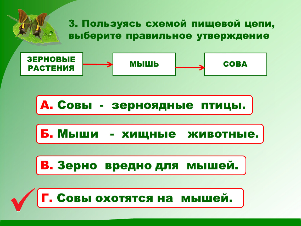 Утверждение про. Схема характерной для Лугового сообщества. Выбери правильную цепочку питания. Выбирайте правильную пищевую цепочку. Выберите правильное утверждение о данной пищевой цепи.