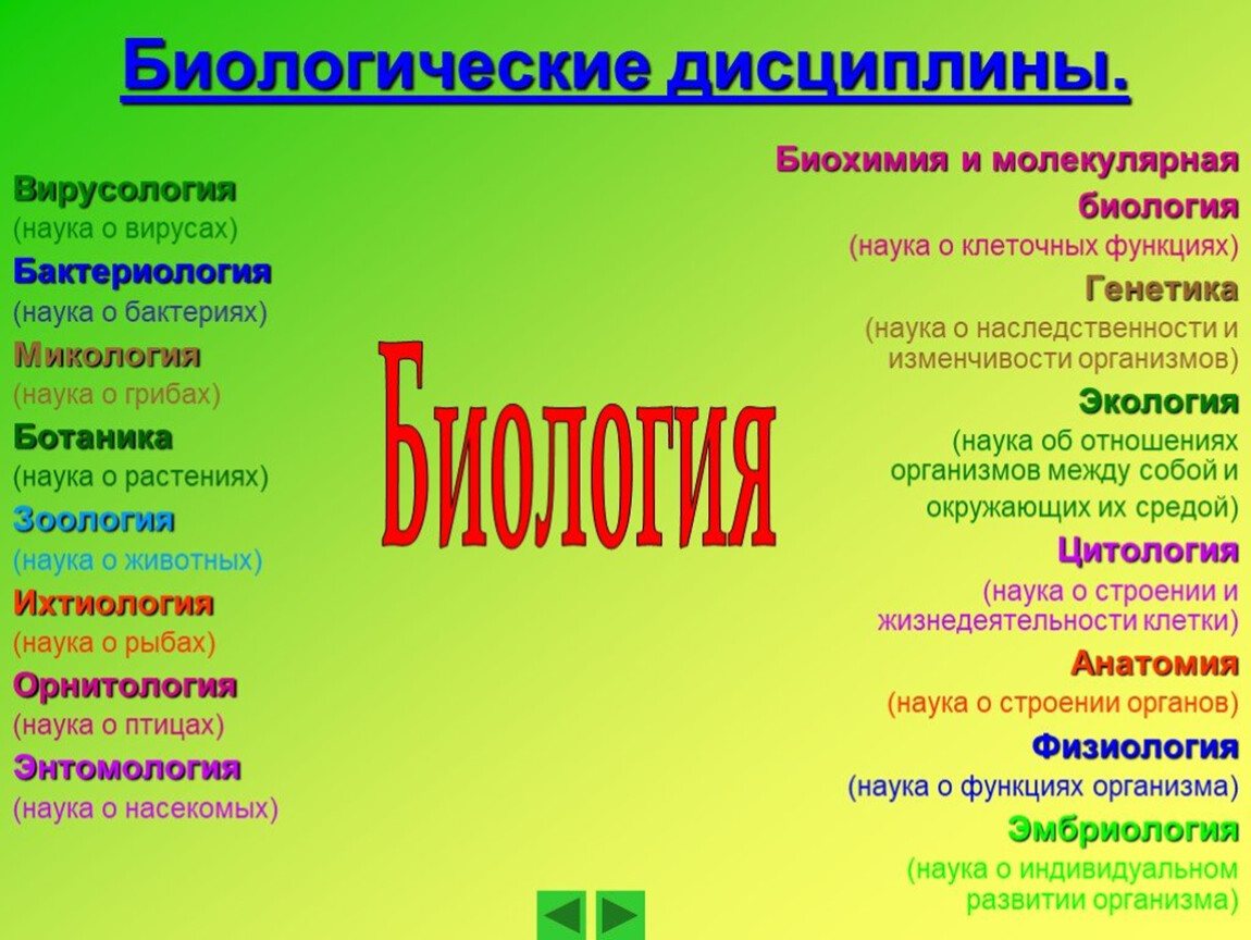 Виды и их значение. Биологические науки 5 класс биология список. Науки биологии и что изучают таблица. Биологические науки список 9 класс. Названия биологических наук 5 класс биология.