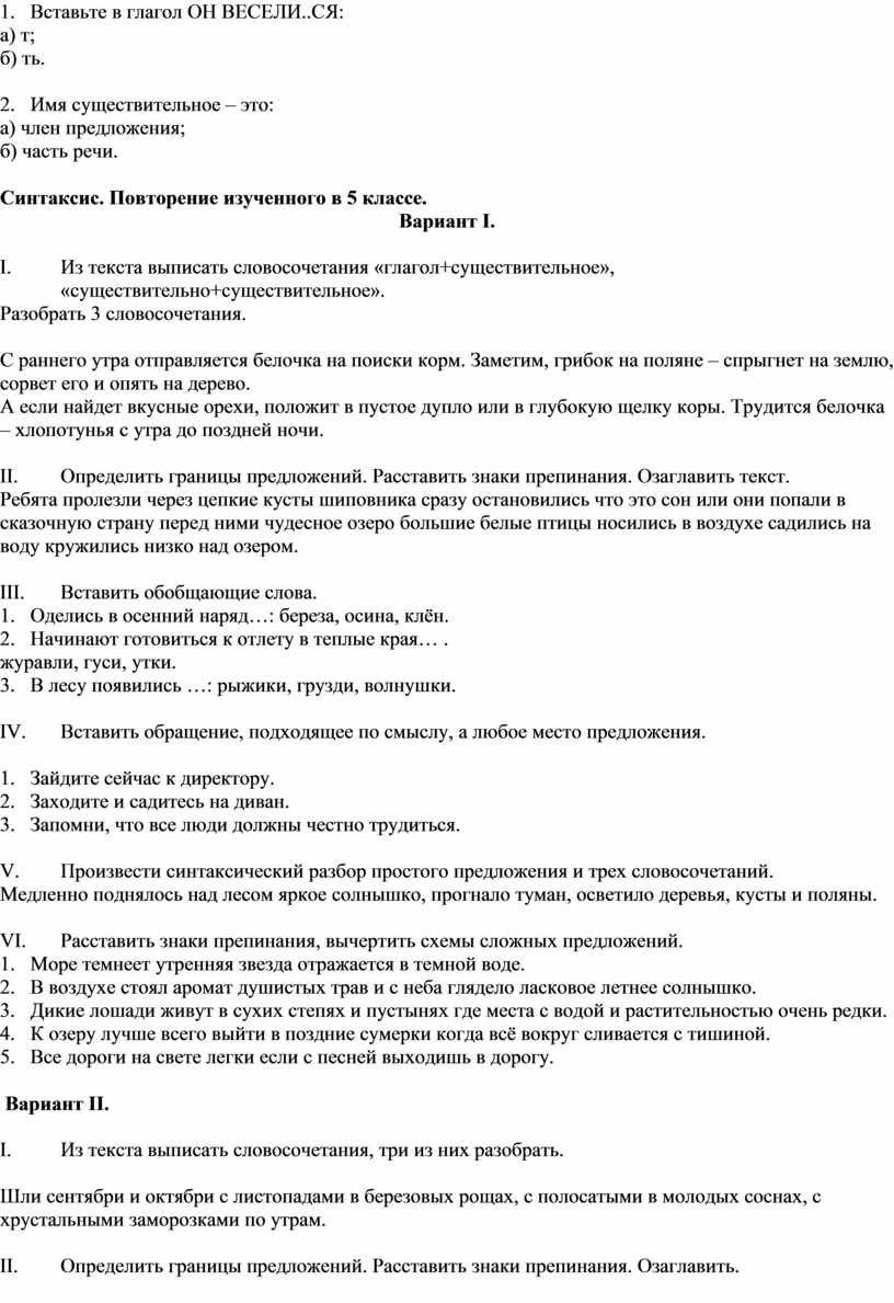 Сборник проверочных работ по русскому языку для 5 - 6 классов