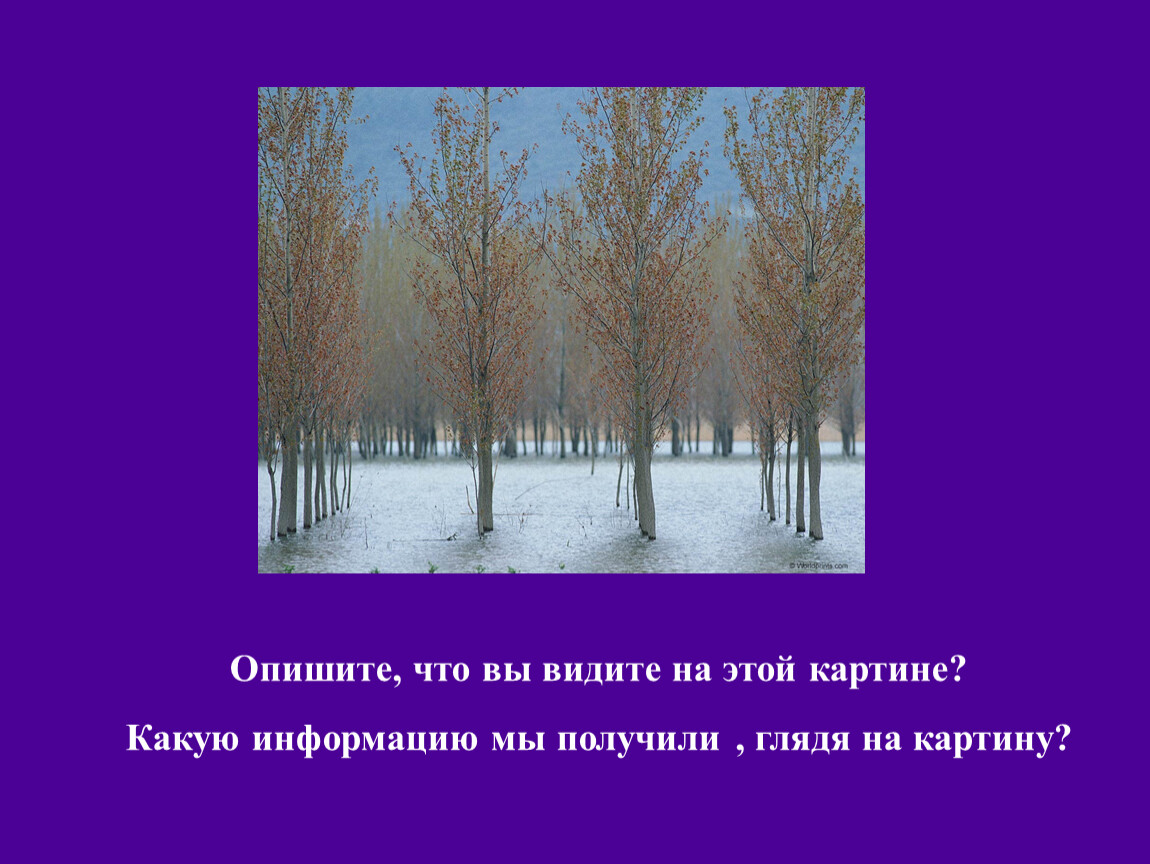 Опишите что видите. Опишите. Опишите что вы. Опиши то что ты видишь на картине 2 класс. Охарактеризуйте, что общего у зимы и лета..