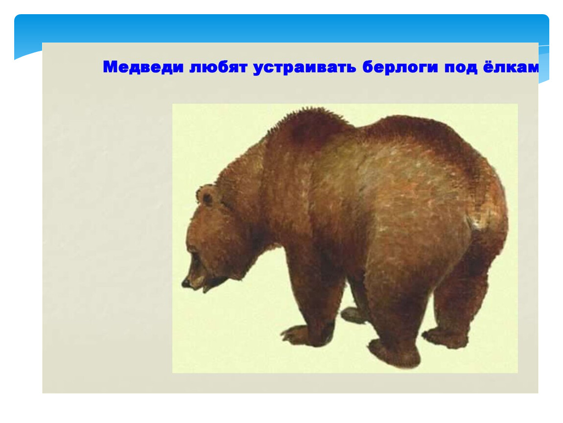 Фразеологизм медведь на ухо наступил. Что любит медведь. С кем дружат медведи. Что больше любят медведи. Чем может Нравится медведь?).