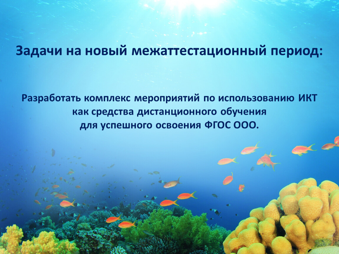 Главной особенностью водной среды обитания является тест. Проект на тему подводный мир. Задачи проекта подводный мир. Живые организмы обитающие в водной среде. Задачи по теме подводный мир.