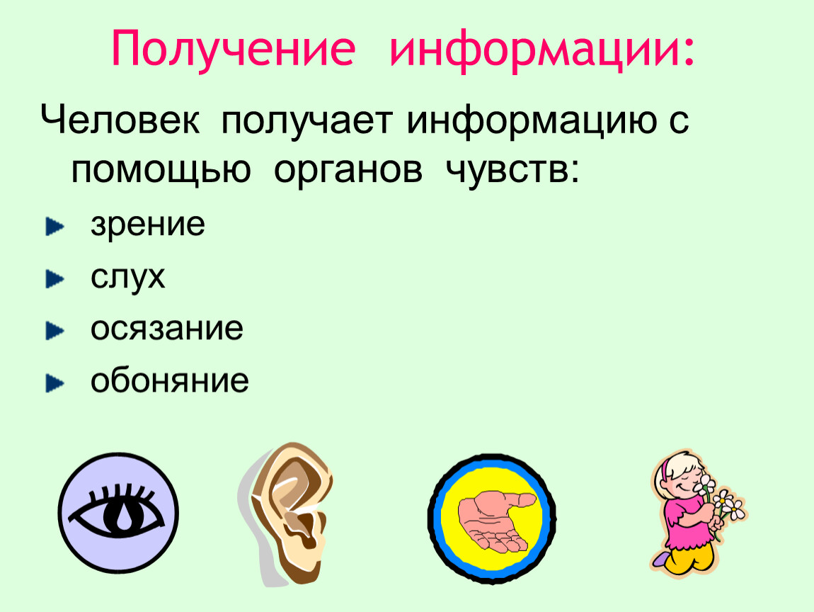 Получать информацию мгновенно. Органы чувств и информация. Органы чувств человека. Человек получает информацию с помощью органов чувств. Информация про органы чувств человека.