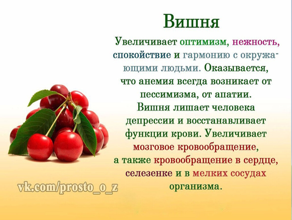 Витамины в черешне. Чем полезна вишня. Чем полезна вишня для организма человека. Факты о вишне. Интересные факты о вишне.