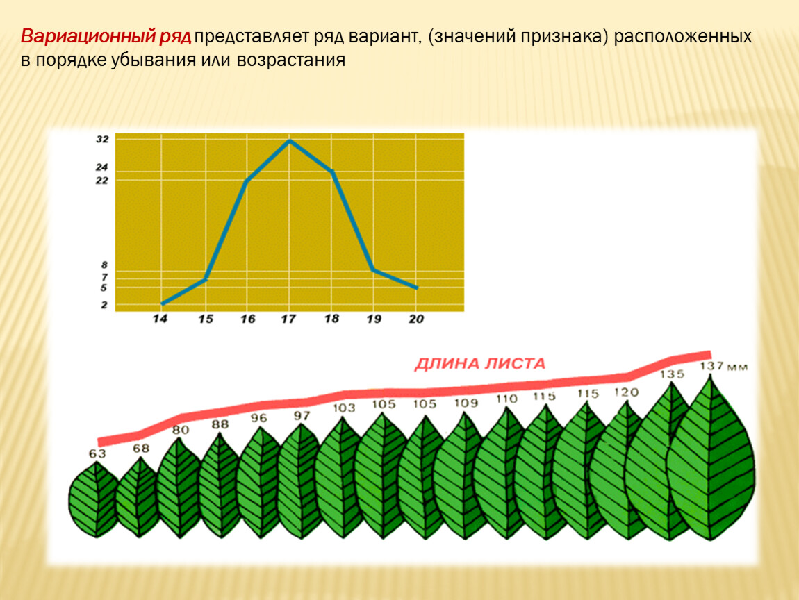 Средний вариационный ряд