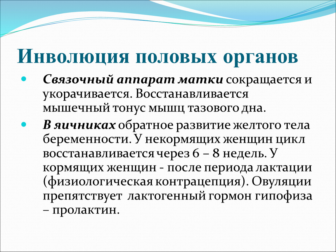 Инволюция это. Инволюция органа. Инволюция матки. Темпы инволюции матки. Обратное развитие матки это.