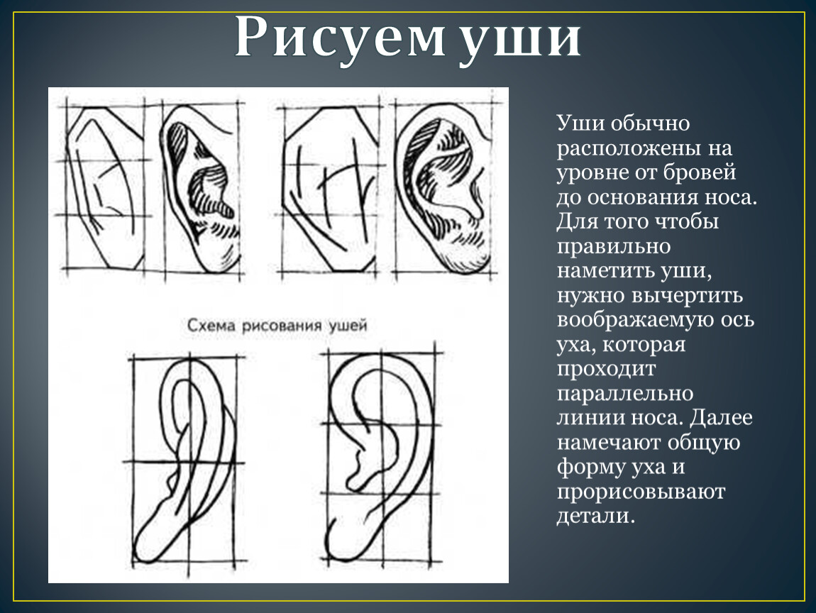 Рисунок головы человека 6 класс изо