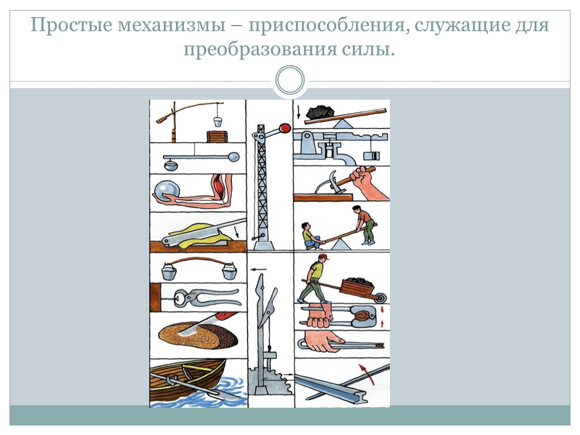 Механизмы приспособления