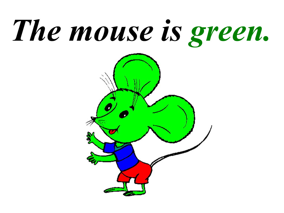 This is green. This is a Mouse.