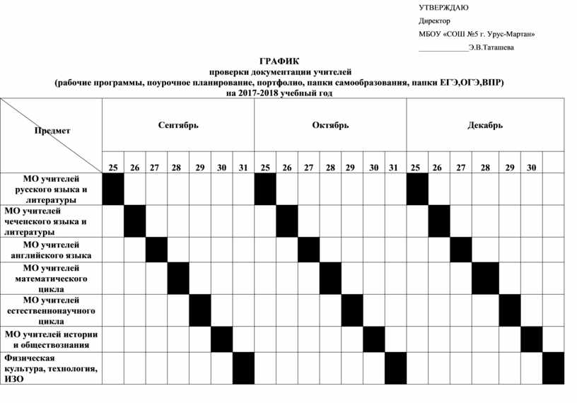 График проверок образец