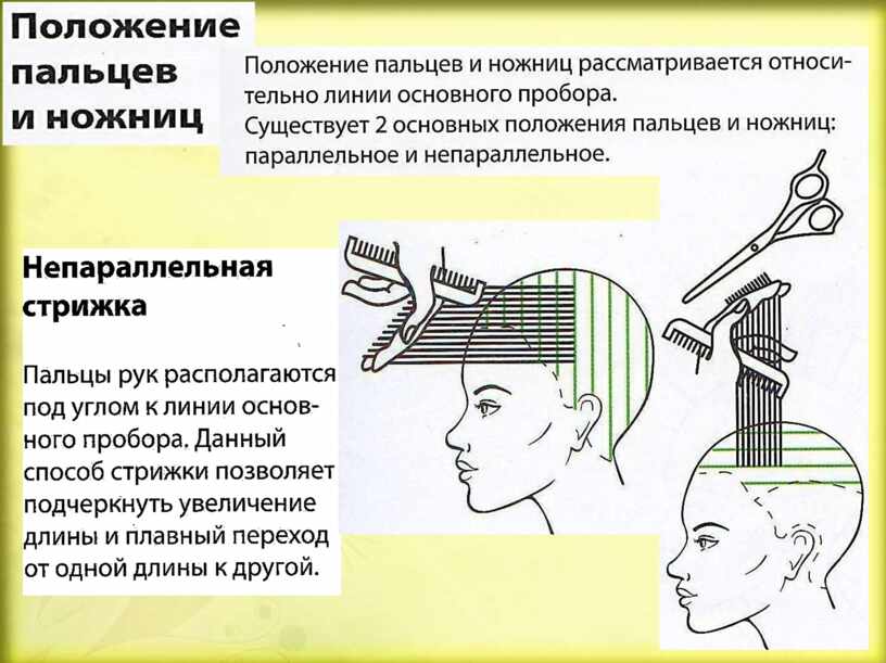 Основные формы стрижек. Горизонтальные проборы в стрижках. Схема выполнения укладки волос феном. Градуировка нижней затылочной зоны горизонтальными проборами схема. Выполнение укладок волос различными инструментами и способами.