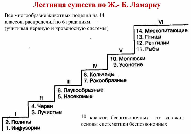 Анализ движения рудольфа фон лабана