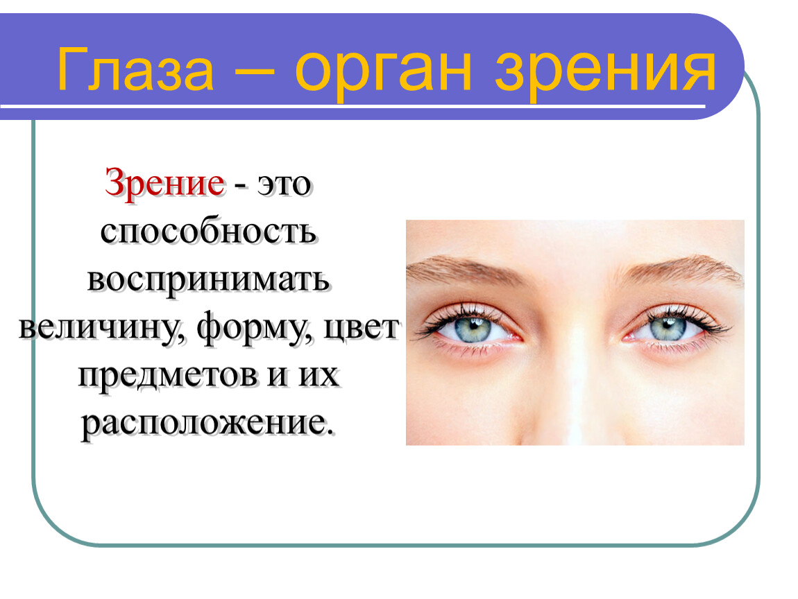 Глаза это орган чувств. Органы чувств глаза. Глаза орган зрения. Органы чувств человека зрение. Глаза орган зрения 3 класс.
