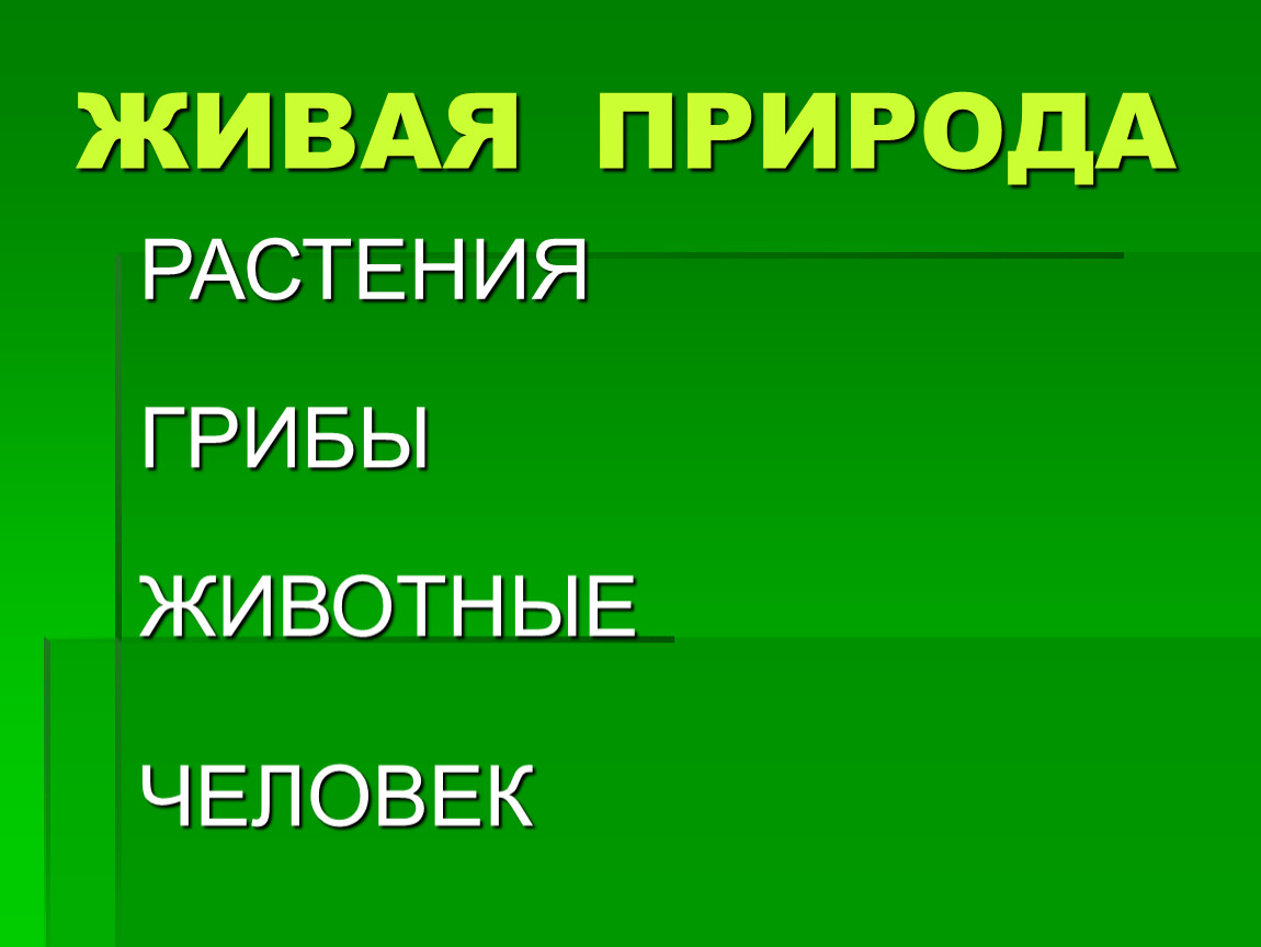 Форма живой природы. Живая природа и неживая природа 2 класс. Живая природа это 2 класс. Растения, грибы, животные, человек- это Живая природа. Живая природа канал.