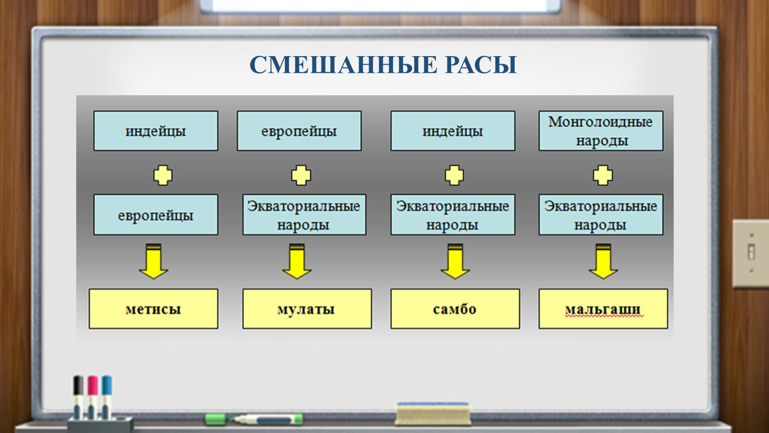 Выберите смешанную. Смешанные расы. Смешанные расы схема. Основные и смешанные расы. Типы смешанных рас.